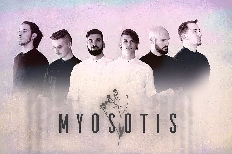 Myosotis